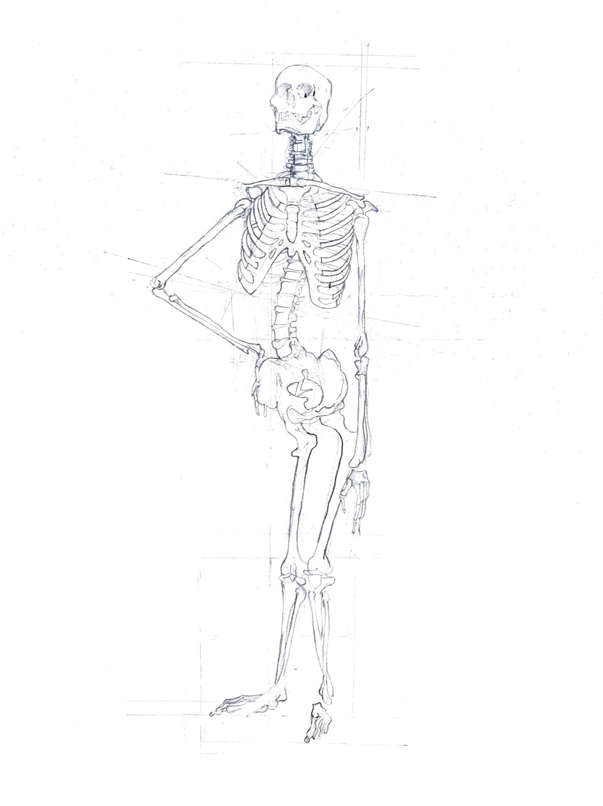 Vaafoulay’s Skeleton Exercise