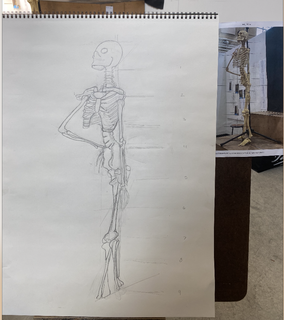 Stasia’s Skeleton
