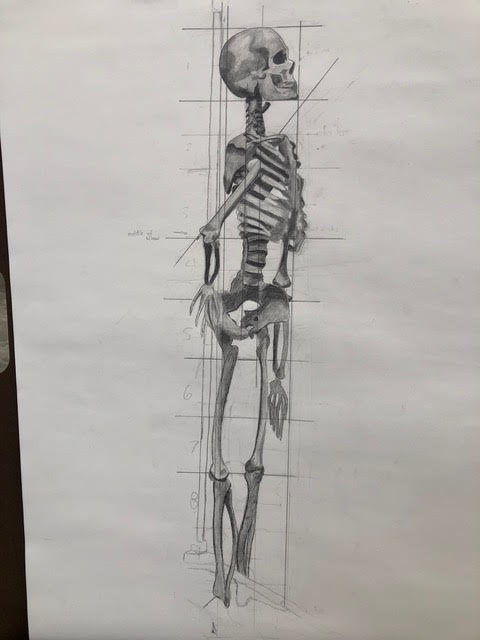 Selinee’s Skeleton