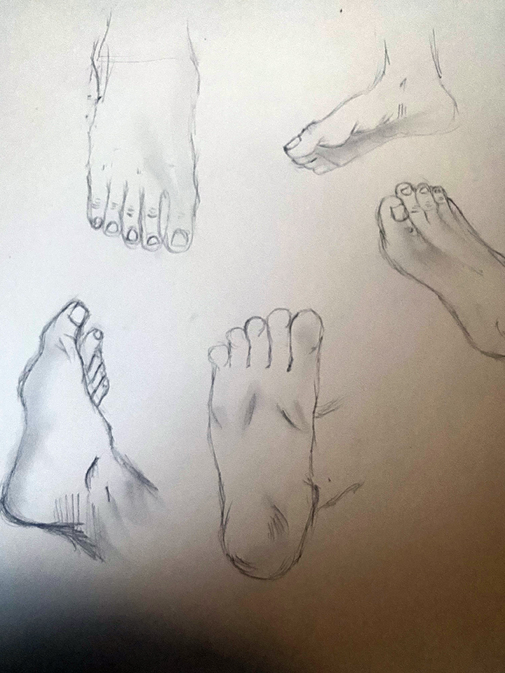 Exercise 9 Anatomy Study: Feet